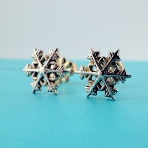 RARE Tiffany & Co. Snowflake Earrings Sterling Silver